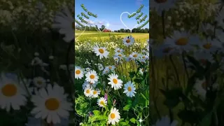 Понедельник! С Добрым Утром!🌼🌼🌼