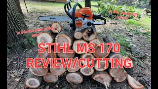 STIHL MS 170 REVEW. THE BEST BUDGET SAW? CHAINSAW REVIEW.