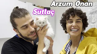 Super Cute Baby Kitten of Turkish Actress Arzum Onan! 🥰