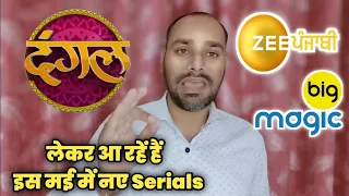 Zee Punjabi Movies, Dangal Original Serial & Mahabharat on Big Magic | DD Free Dish New Update