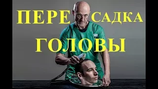 Сенсация. Пересадка головы от человека к человеку