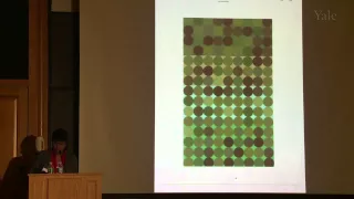 Color in Context: Revisiting Albers, with Anoka Faruqee