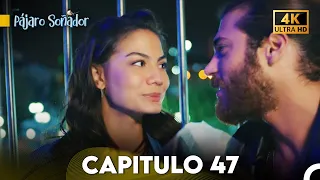 Pájaro Soñador Capítulo 47 (Doblado En Español 4K)