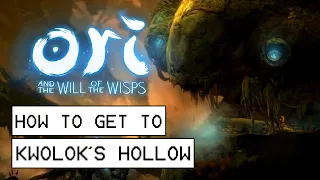 Ori And The Will Of The Wisps How To Get To Kwolok's Hollow (How To Get Double Jump & Spirit Arc)