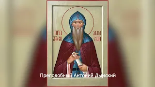 Преподобный Антоний Дымский. Православный календарь 30 января 2024