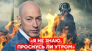 Гордон. Проститутки Путина, еврейские идиоты, Зеленский, что у русских с лицами, быдло Прилепин