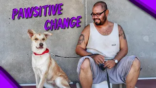 The impact on lives behind bars from our PAWSITIVE CHANGE prison program | Marley's Mutts