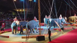 Shrine  circus forward Texas 2017(19)