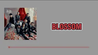 BLOSSOM/ENHYPEN【歌詞・割り振り】「DARK BLOOD」