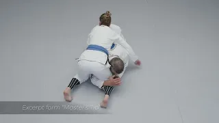 From the turtle position to side control