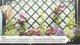 Beautiful Gardens - How to makeover your fence