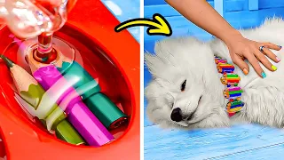 Funny And Useful Pet Hacks And Awesome DIY Crafts