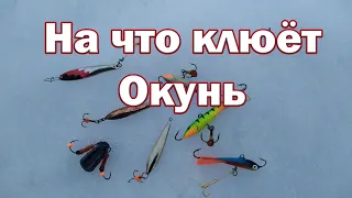 На что клюёт Окунь в Глухозимье !? Рабочая Приманка и Проводка для Окуня  !