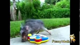 Fail compilation 2014 funny video mix youtube this month week fails The Ultimate Win and pranks