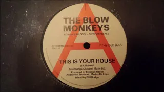 The Blow Monkeys - This Is Your Life (Subtítulos Español)