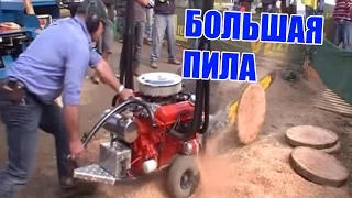 ЛУЧШИЕ ПРИКОЛЫ | BEST EPIC VIDEOS 2015 #1