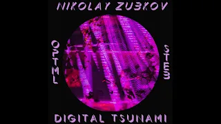 Nikolay Zubkov - Digital Tsunami (STEB's Acid Mix)