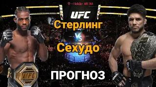 UFC288: Прогноз на бой Алджемейн Стерлинг vs Генри Сехудо | разбор и анализ боя Стерлинг vs Сехудо