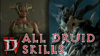 All Druid Skills Showcase - Diablo IV