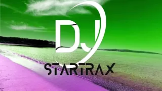 Record Mega Mix Summer Party  Mashup Series By DJ Startrax part 2