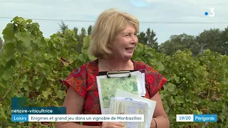 Jeu de piste et escape game dans les vignes de Monbazillac en Dordogne