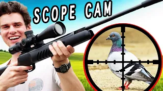 Pest Bird Hunting w/ .177 Break Barrel Air Rifle! [Catch and Cook]