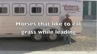 Horses that want to eat grass