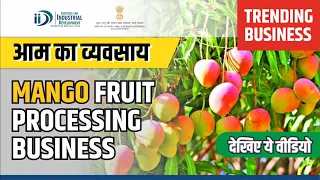 How to Start Mango Fruit Processing Business | How to Start Mango Business