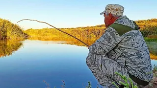 РЫБАЛКА С НОЧЁВКОЙ. НЕ ЗРЯ ПОЕХАЛ В ЭТО МЕСТО.