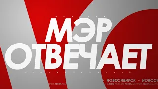 «Мэр отвечает» от 25 апреля 2019 года