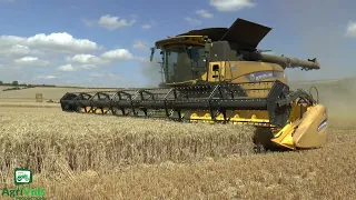 Nick Coombes New Holland CR10.90 Harvesting Wheat