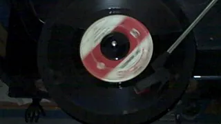 (The Monkees) i'm a believer (vinyl)