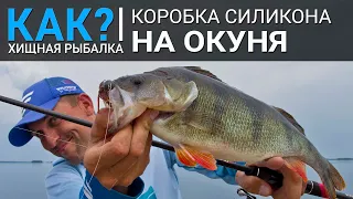 Как собрать коробку силикона на окуня? Наборы приманок для рыбалки весной, летом, осенью и зимой.