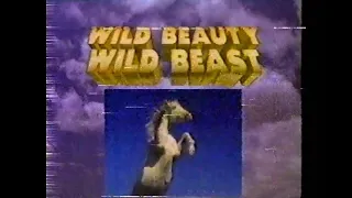 1984 NBC Yellow Rose promo