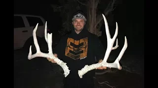 FINDING BIG MULE DEER SHED ANTLERS