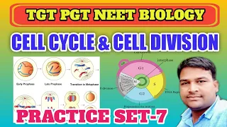 Cell cycle & Cell division Important Questions || TGT PGT NEET BIOLOGY || कोशिका विभाजन व चक्र