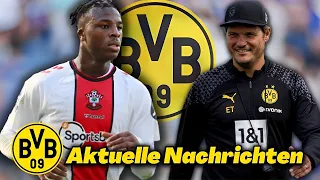 💥Dringend: Damit hat niemand gerechnet! Nachrichten Von Borussia Dortmund Heute