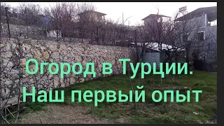 Огород в Турции. Наш первый опыт.