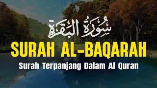 SURAH AL BAQARAH - Setan Kabur dari Rumah - Penenang Hati dan Pikiran