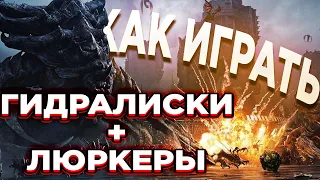 Гидра Люркер стиль - STARCRAFT 2 - Как играть за зерга