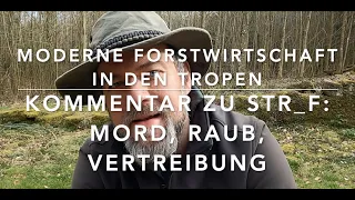 Tropische Forstwirtschaft - Ein Kommentar zu STRG_F: Was steckt hinter legalem Holz?