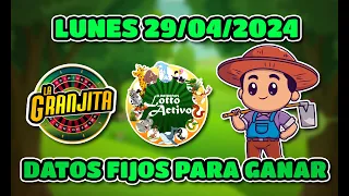 ✅ DATOS DE LOTTO ACTIVO Y LA GRANJITA PARA HOY 29/04/2024  - Tus Datos Fijos 🎯