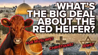 What's the Big Deal About the Red Heifer? | End Times Prophecy