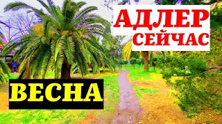 АДЛЕР СЕЙЧАС | НАЧАЛО ВЕСНЫ | МАРТ #31