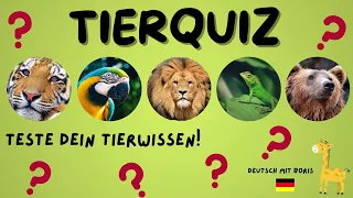 Tierquiz 👀- Teste dein Tierwissen! 🐅🐘🐼🦜🦓- Deutsch mit Boris 🇩🇪🦒