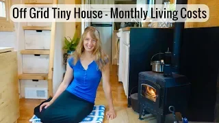Life in a Tiny House called Fy Nyth - Monthly Living Expenses
