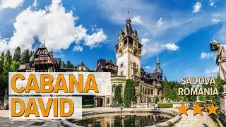 Cabana David hotel review | Hotels in Sadova | Romanian Hotels