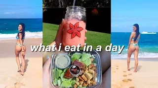 what i eat in a day // not vegan + healthy | Ava Jules