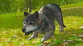 Симулятор маленького ПИТОМЦА #20 Волчья семья и щенята Кида. Дикие животные на пурумчата