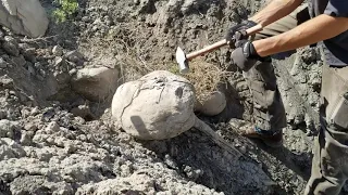 Septarian Nodule Cabezon Peak, New Mexico